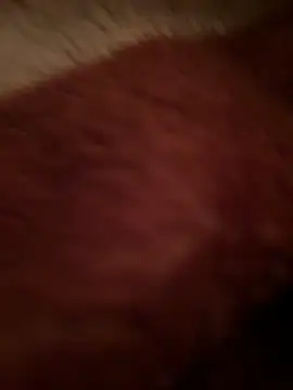 Crevette311 online show from 22, 12, 2025