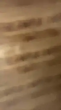 walterktm online show from 8, 4, 2026