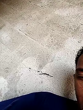 Snapshot of negopreto_ chatting on 24, 2, 2026 negopreto online show from 24, 2, 2026