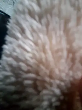 iambesting online show from 28, 2, 2026