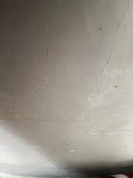 reena-sassy online show from 20, 2, 2026