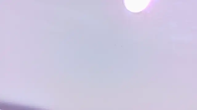 nina bae online show from 18, 4, 2026