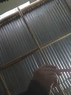 mar coral2 online show from 27, 3, 2026