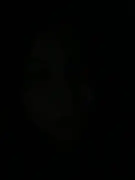 gatinholl online show from 9, 3, 2026