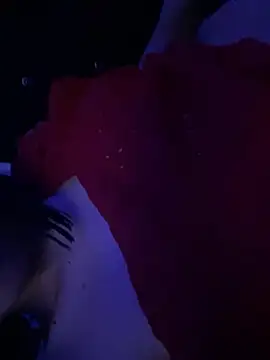 gatinholl online show from 23, 2, 2026