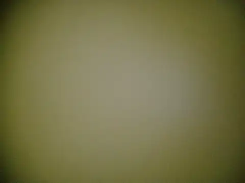 Susu-bae online show from 1, 3, 2026