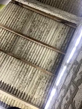 ale sweet53 online show from 3, 4, 2026