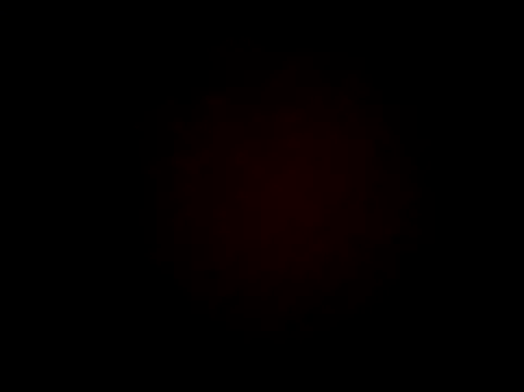 wifedesi7050 online show from 24, 3, 2026