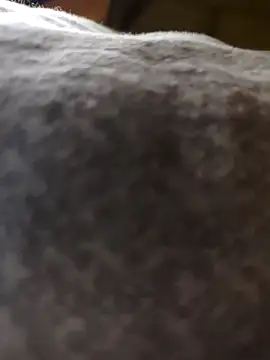 mrsdevika online show from 17, 4, 2026