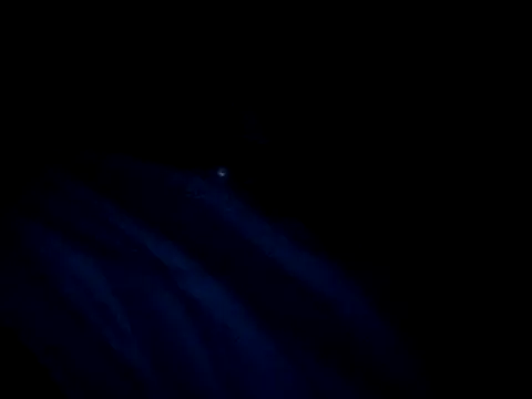 vladsexyguitar online show from 4, 3, 2026