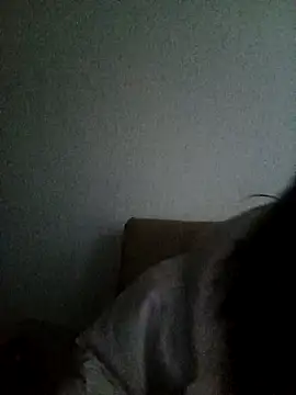 Ana  arms online show from 27, 3, 2026