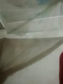 Bemy9988 online show from 16, 3, 2026