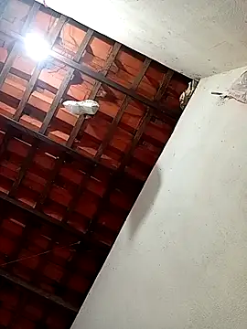 erotil 1 online show from 28, 3, 2026