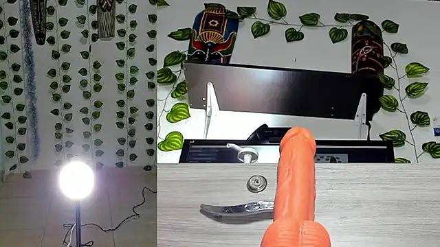 bella  funny online show from 26, 5, 2026