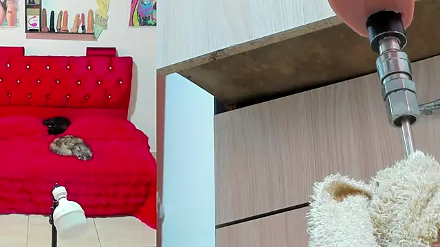bella  funny online show from 13, 5, 2026