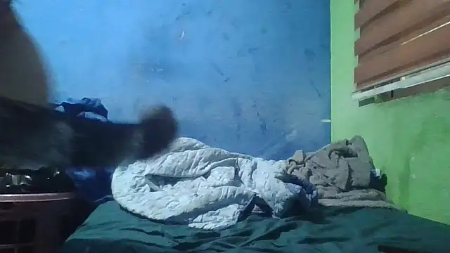 Soylilayblue online show from 25, 3, 2026