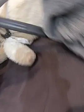 NniuAh online show from 10, 3, 2026