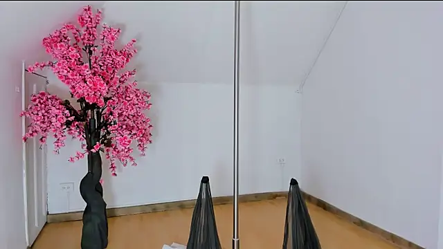 Calioperoux online show from 9, 4, 2026