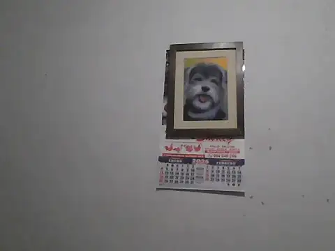 DIEGOLUIS2026 online show from 6, 3, 2026