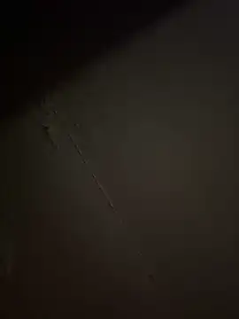 BunnyYT online show from 17, 5, 2026