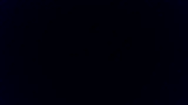 BunnyYT online show from 8, 4, 2026