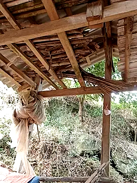 elen8800 online show from 14, 4, 2026