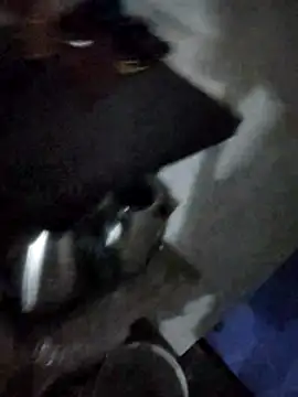 Snapshot of magicmovemen chatting on 3, 3, 2026 magicmovemen online show from 3, 3, 2026