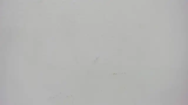 ursafrost online show from 6, 5, 2026