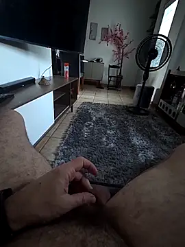 MemorableVector66 online show from 2, 3, 2026