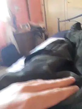 ilcazzone32 online show from 19, 4, 2026