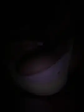 Kiara XOX online show from 24, 2, 2026