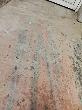 67sanju online show from 2, 3, 2026