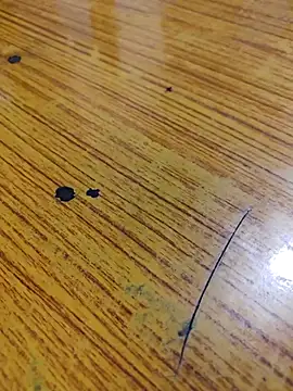 67sanju online show from 24, 2, 2026