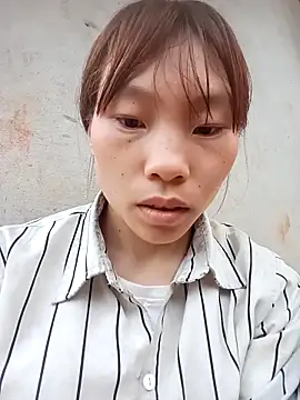 pic8800 online show from 2, 4, 2026