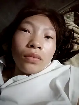 pic8800 online show from 26, 3, 2026