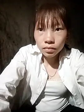 pic8800 online show from 18, 4, 2026