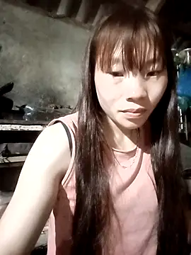 pic8800 online show from 25, 3, 2026