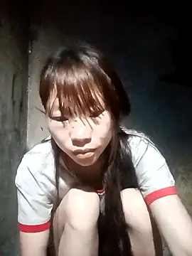 pic8800 online show from 29, 3, 2026