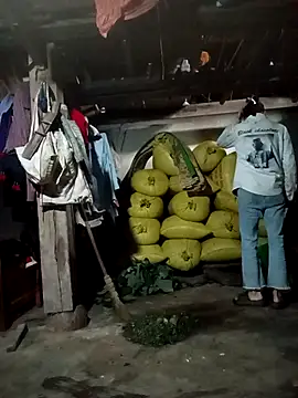 pic8800 online show from 3, 4, 2026