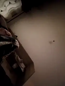 Rachel201 online show from 19, 3, 2026