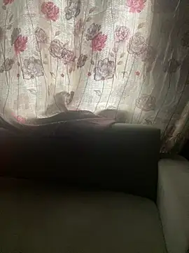 Snapshot of qczband chatting on 16, 4, 2026 qczband online show from 16, 4, 2026