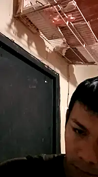 darwinmodell online show from 8, 3, 2025