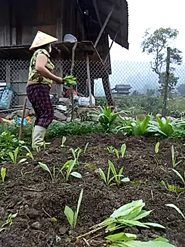 Heylen hooo online show from 12, 3, 2026