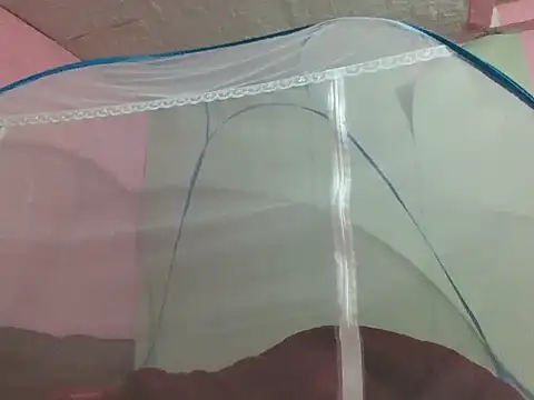 Vani568 online show from 27, 3, 2026