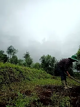 lyly sexx online show from 2, 4, 2026