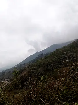 lyly sexx online show from 7, 3, 2026