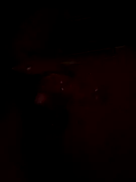 boythichlo99 online show from 5, 3, 2026