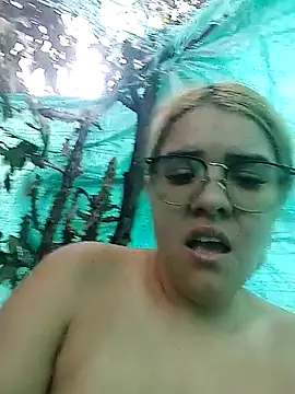 single kitten online show from 15, 4, 2026