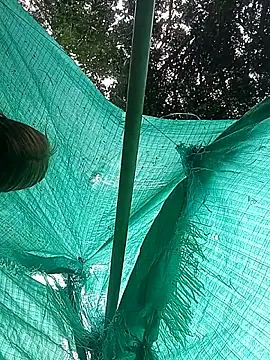 single kitten online show from 23, 3, 2026