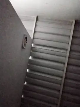 Felikpec online show from 27, 2, 2026